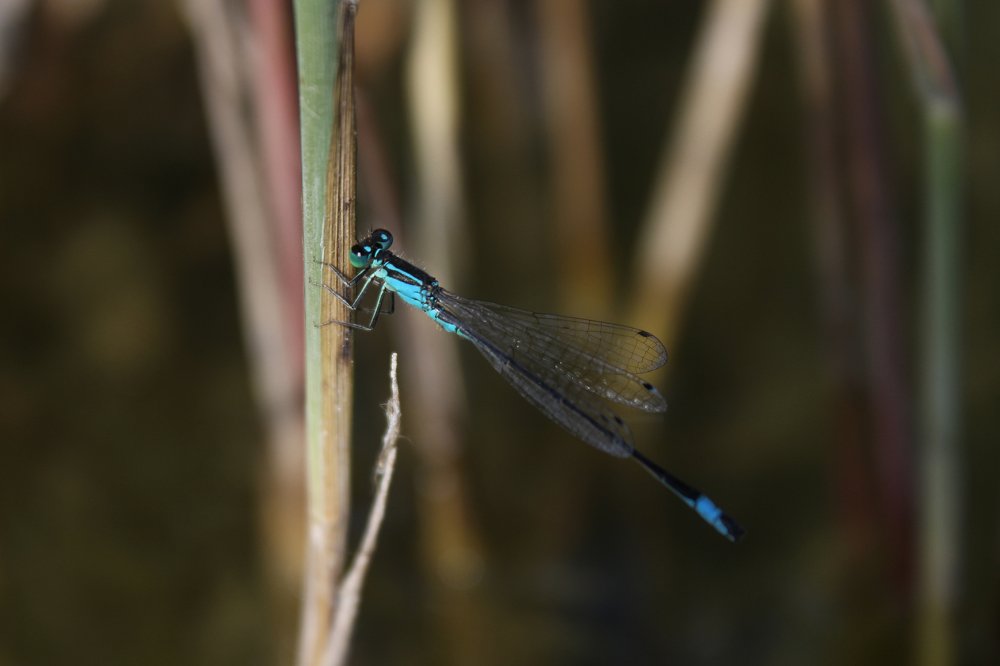 Фотография автора Анна Кравченко