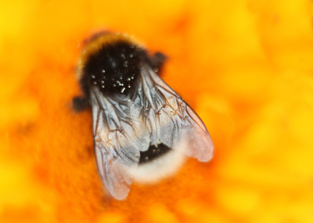 Фотография автора Анна Кравченко