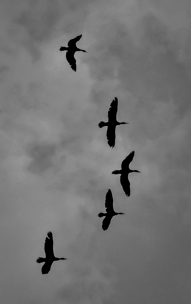 Фотография автора Grace Rani