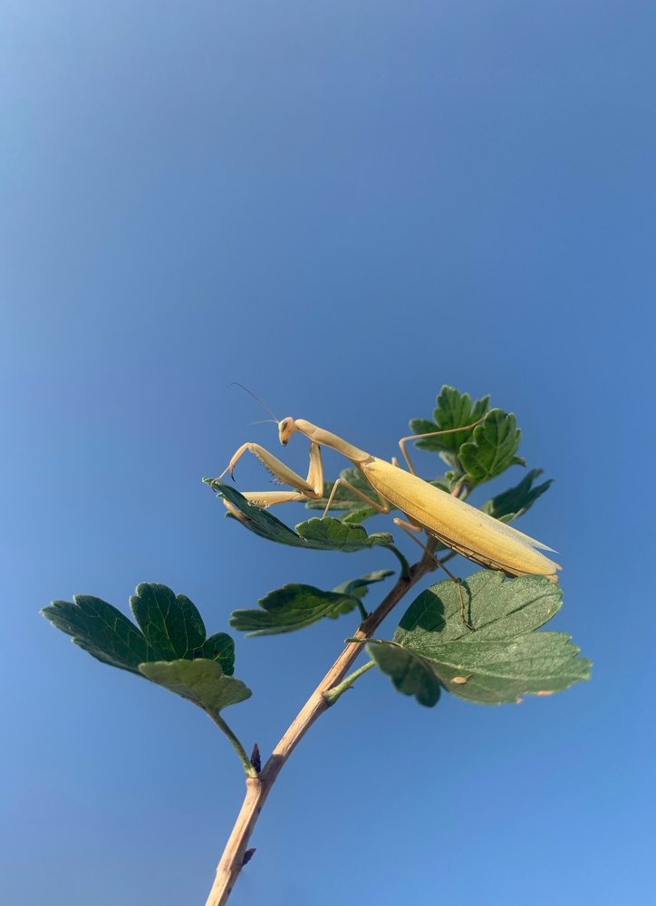 Photograph by Павел Тищенко