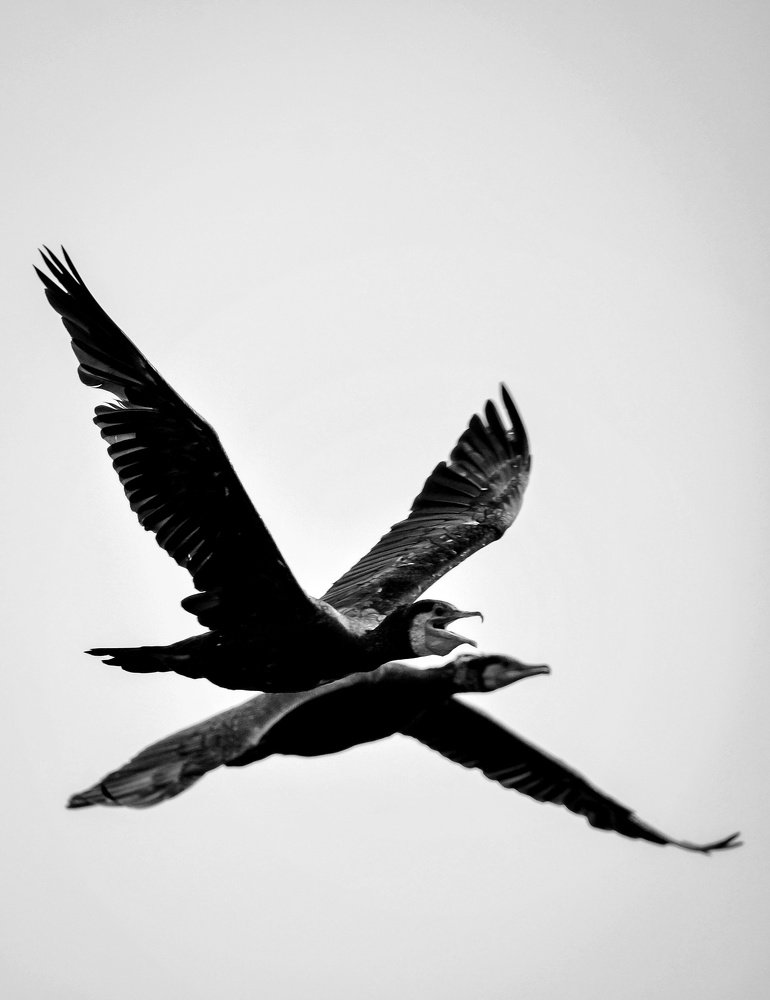 Фотография автора Grace Rani