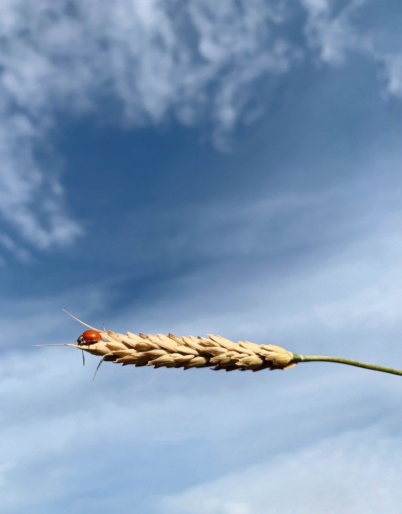 Photograph by Павел Тищенко