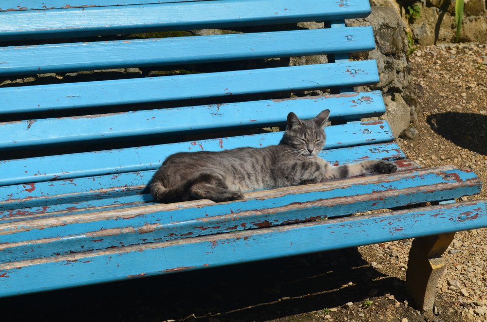 Photograph by Владимир Караман