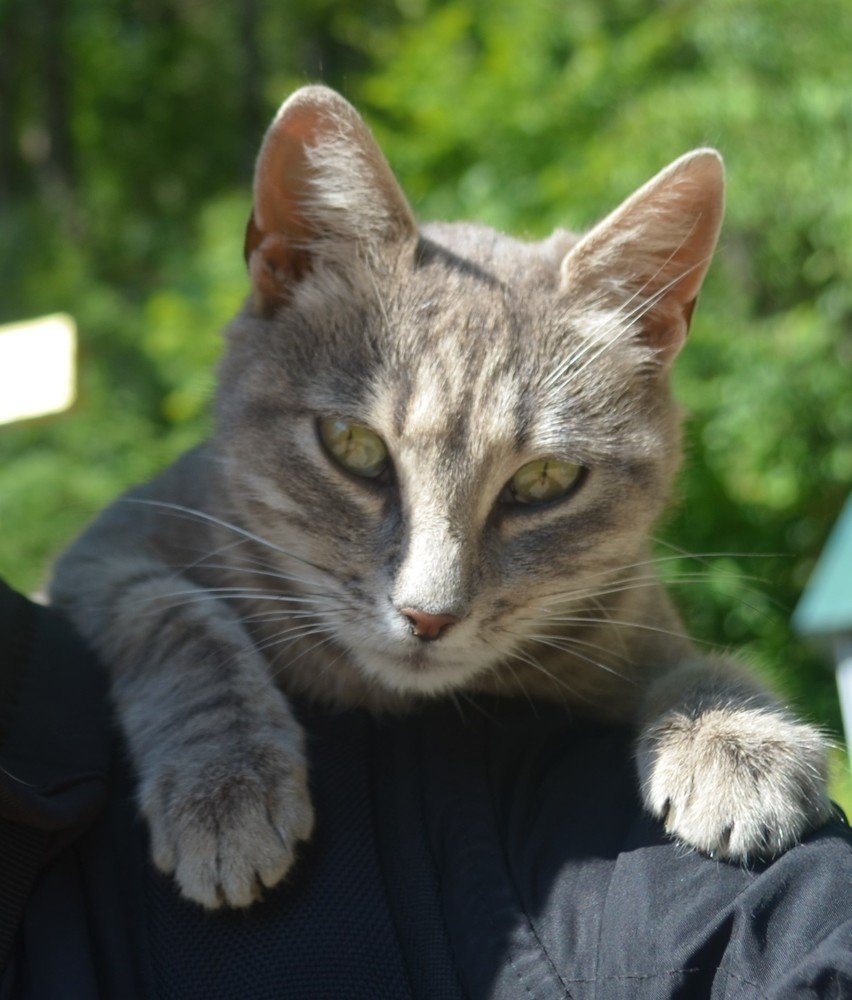 Photograph by Владимир Караман