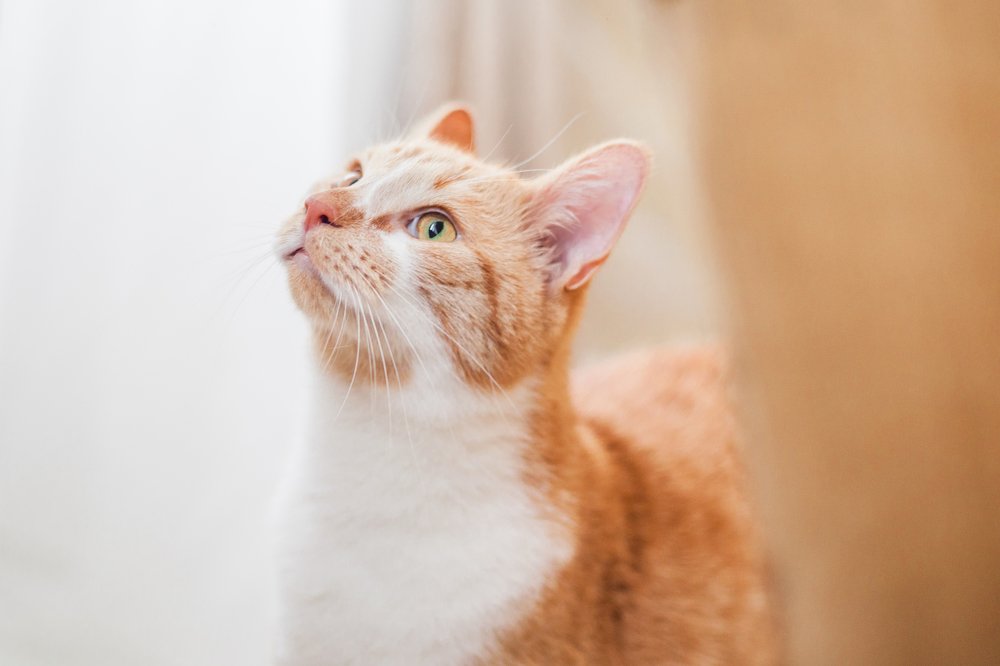 Photograph by Marina Moreva