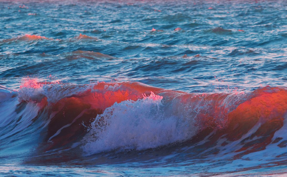 Photograph by Mihai Romeo Bogdan