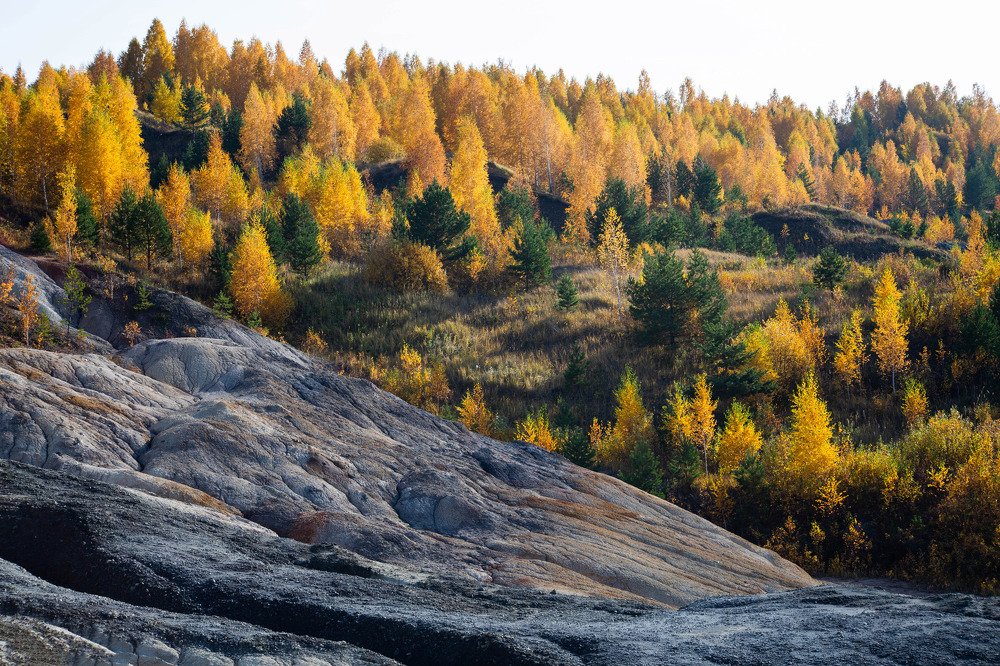 Photograph by Анна Ополихина