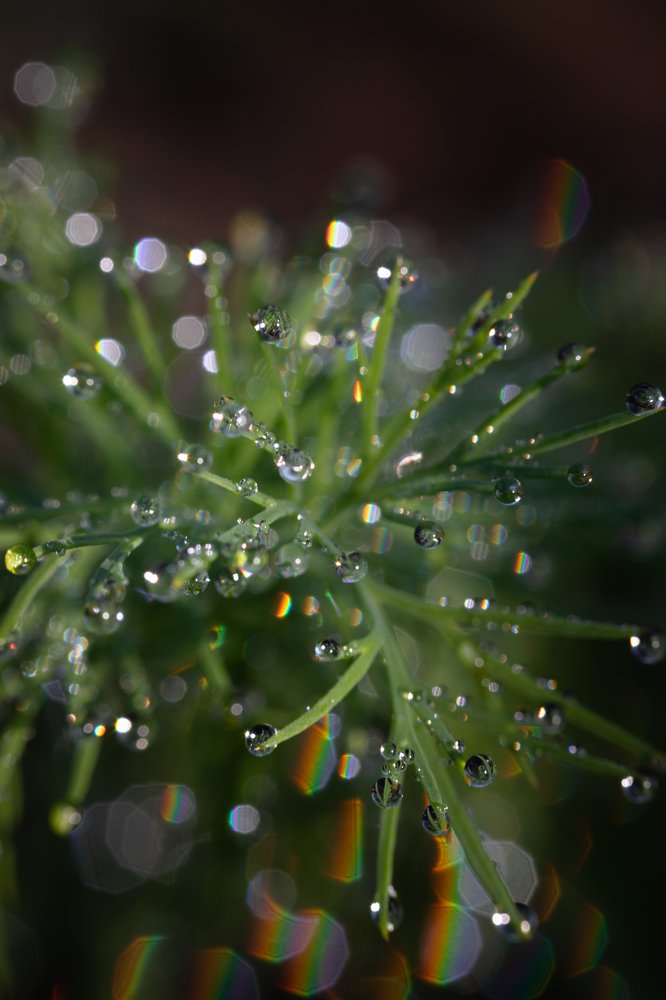 Photograph by Любовь Тернова