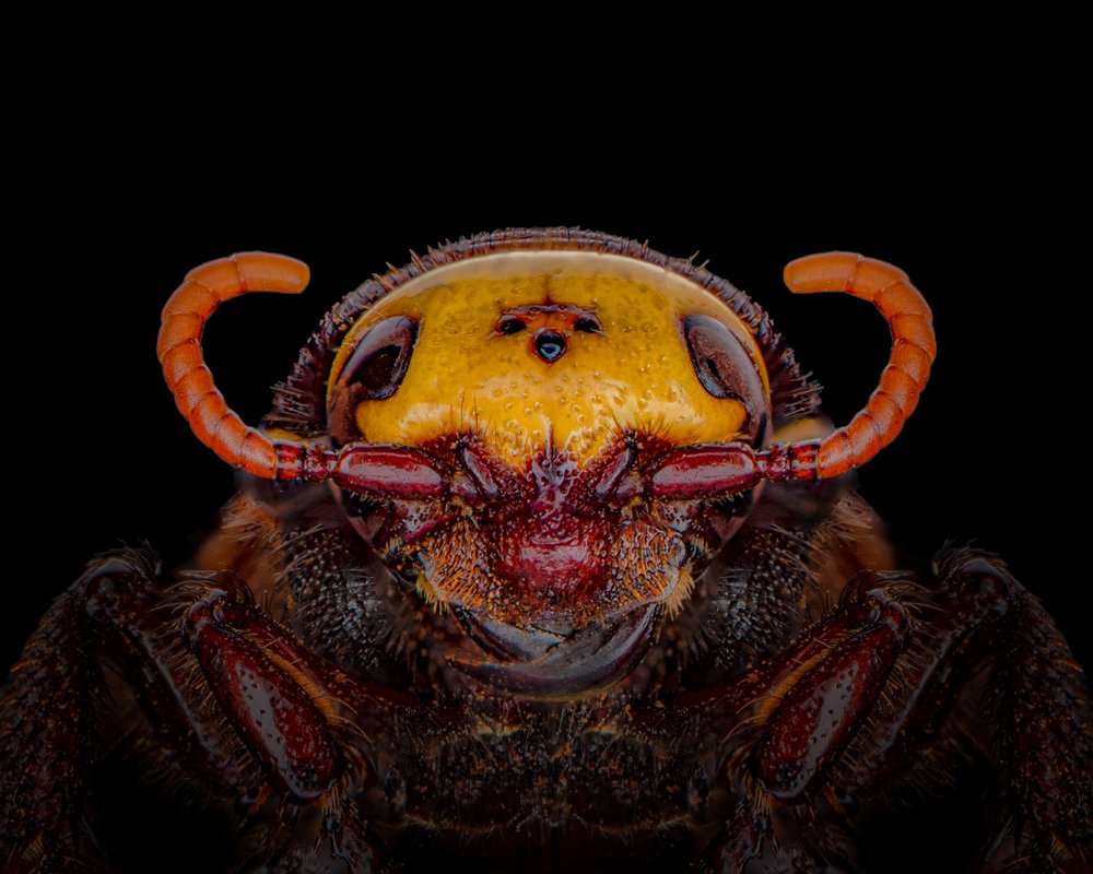 Photograph by Seraj Albahrani