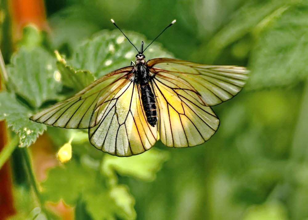 Photograph by Сергей Балухта