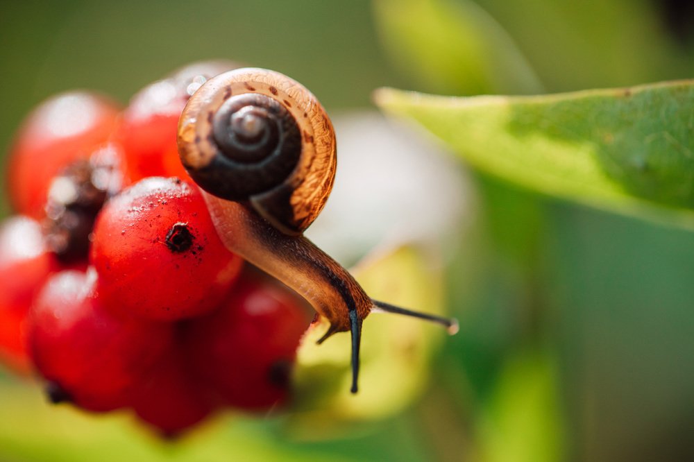 Photograph by Екатерина Аксёнова