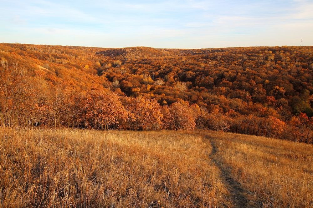 Photograph by Юрий Варюхин