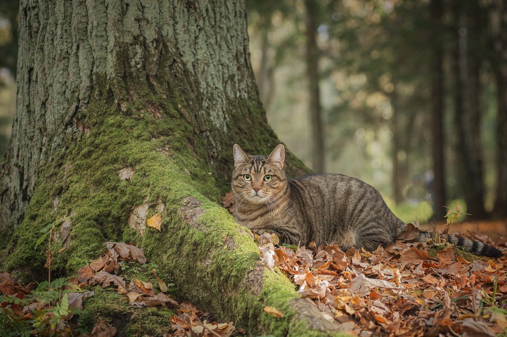 Photograph by Максим Вышарь