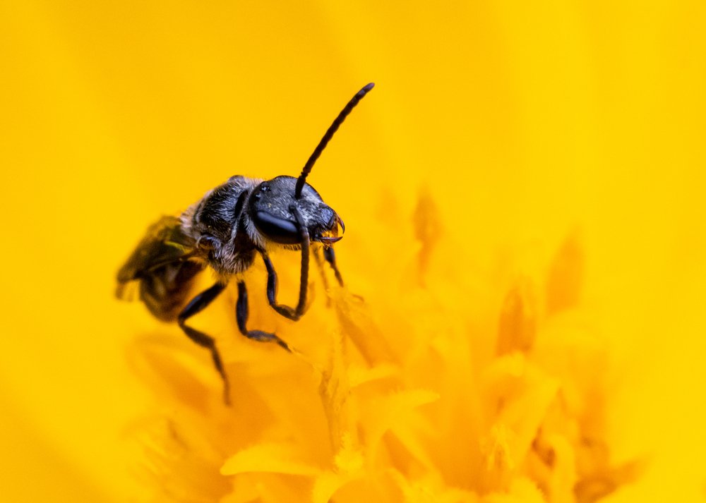 Photograph by Abhilash Thamattoor