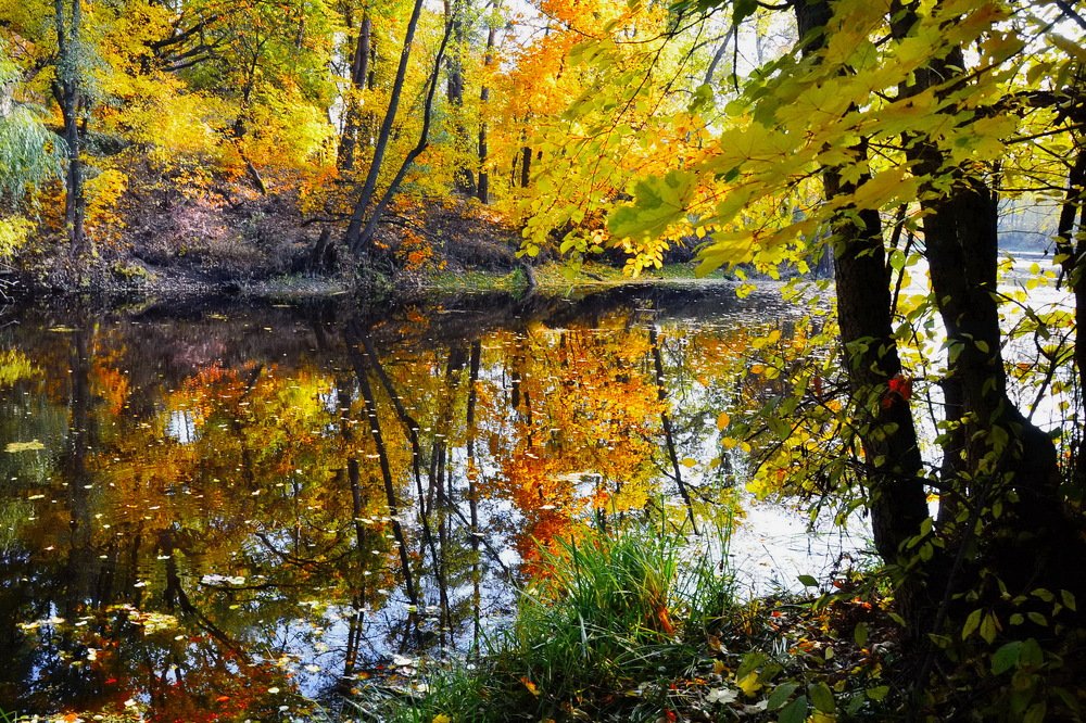 Photograph by Владимир Тертышник