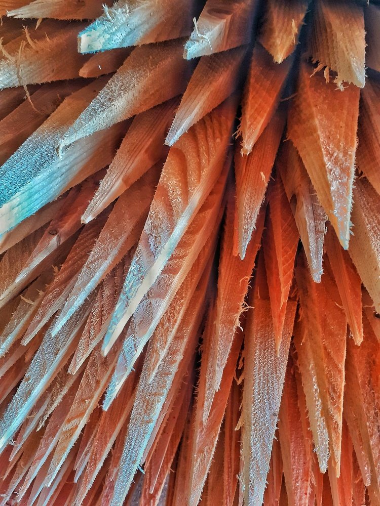 Фотография автора Milan Stipanovic