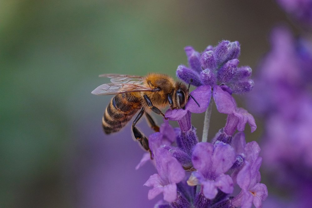 Photograph by Михаил Шпирко