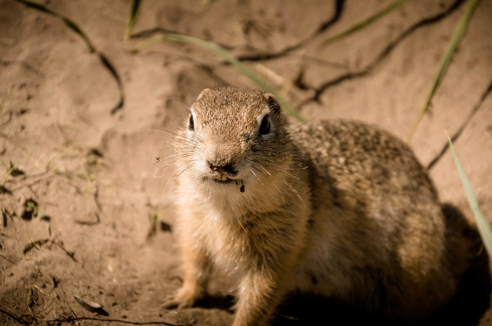 Photograph by Вадим Басов