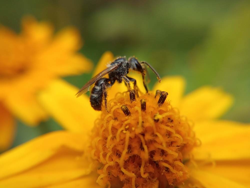 Photograph by Vijayakumar