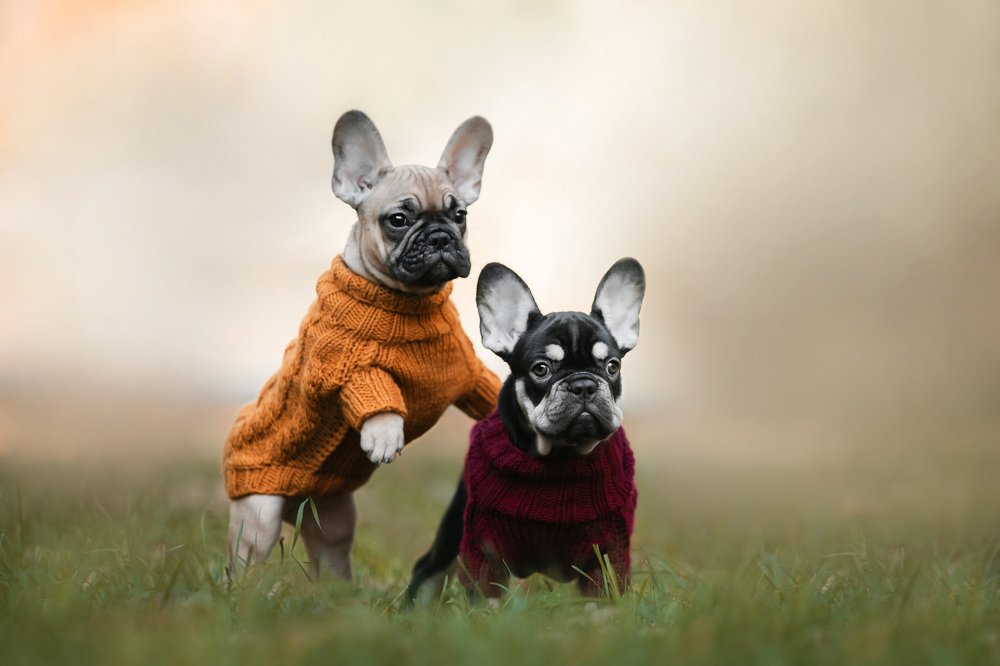 Photograph by Екатерина Киреева