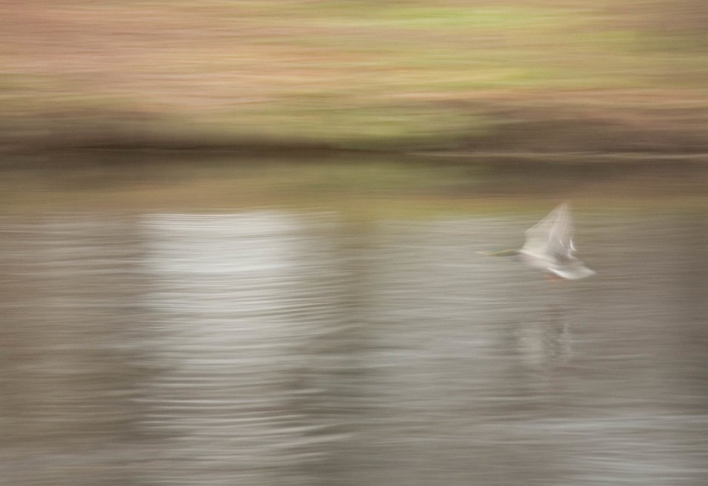 Photograph by Вадим Кондрат