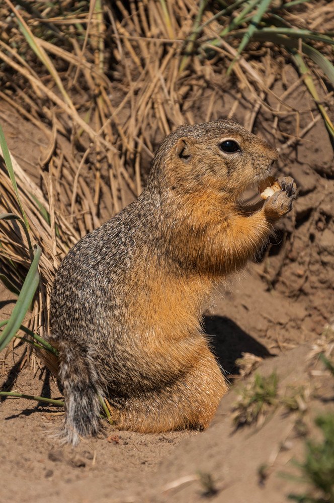 Photograph by Вадим Басов