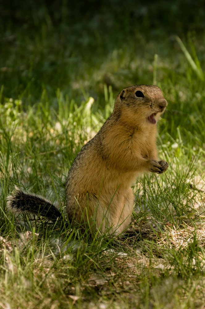 Photograph by Вадим Басов