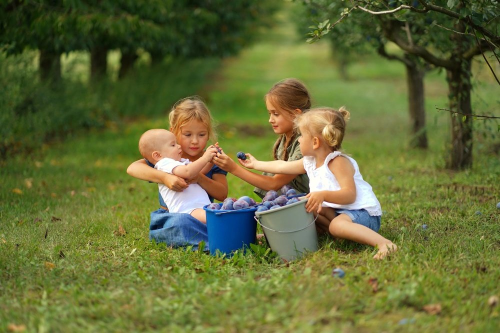 Photograph by Екатерина Хлестова