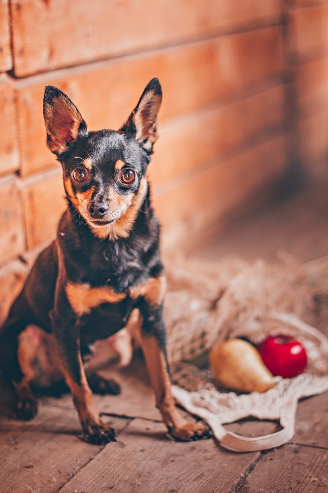 Photograph by Анна Кесарева