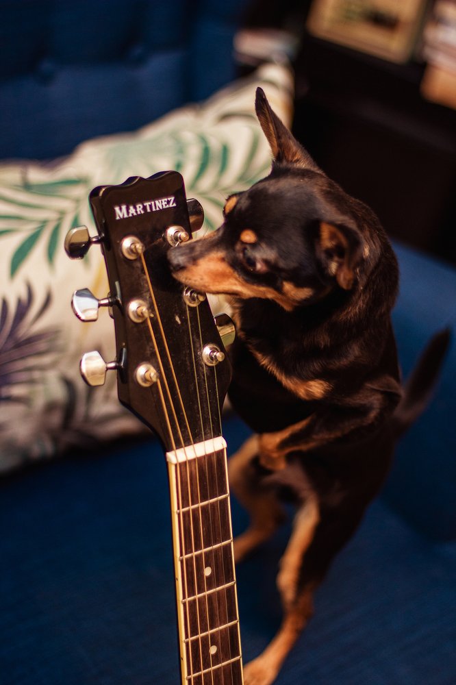 Photograph by Анна Кесарева