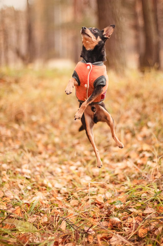 Photograph by Анна Кесарева