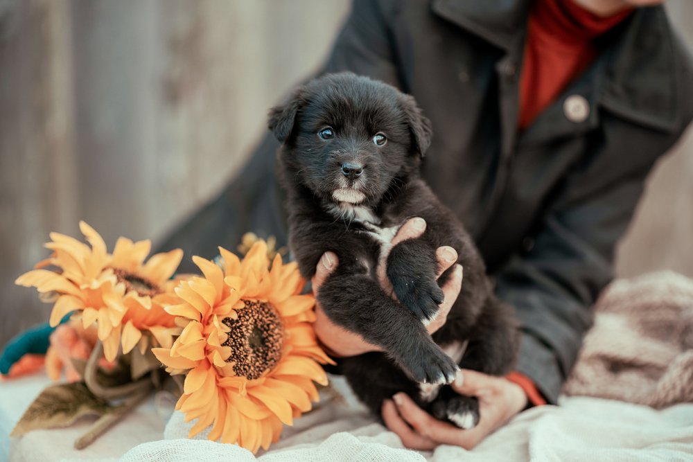 Photograph by Nika Soul