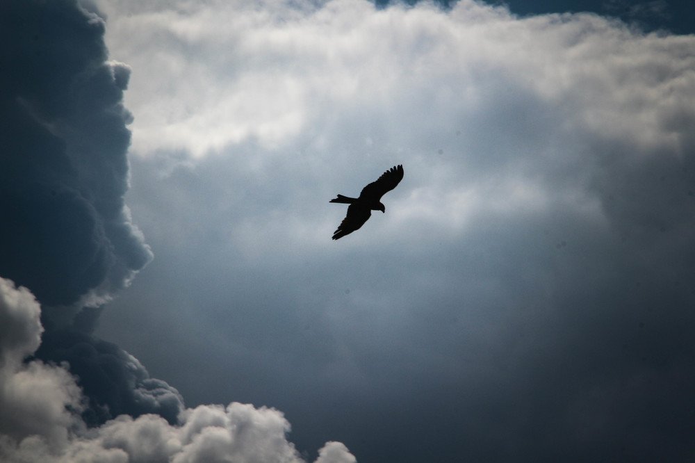 Photograph by Ксения Глубокова