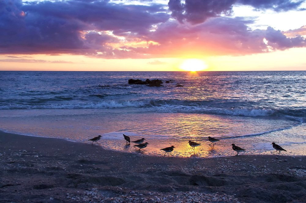 Фотография автора Razgulyaev Aleksandr