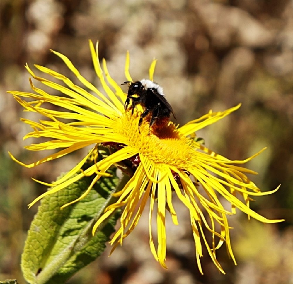 Photograph by Олег Башкуров