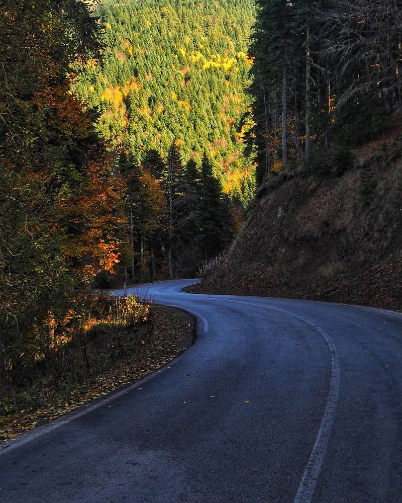 Photograph by Ольга Эркызан