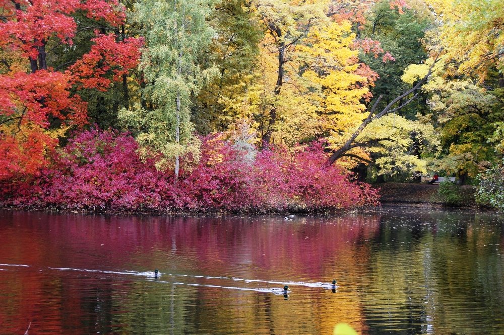 Photograph by Валентина