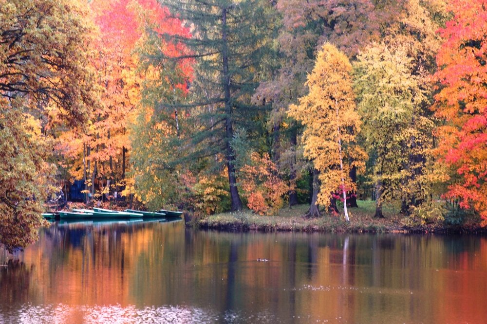 Photograph by Валентина