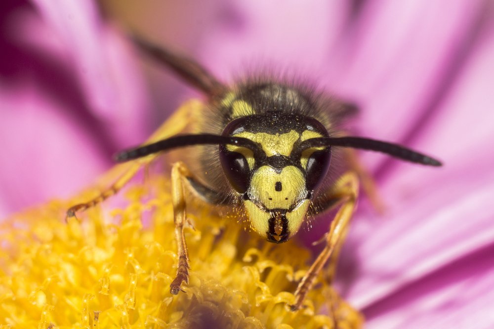 Photograph by Дина Горбачёва