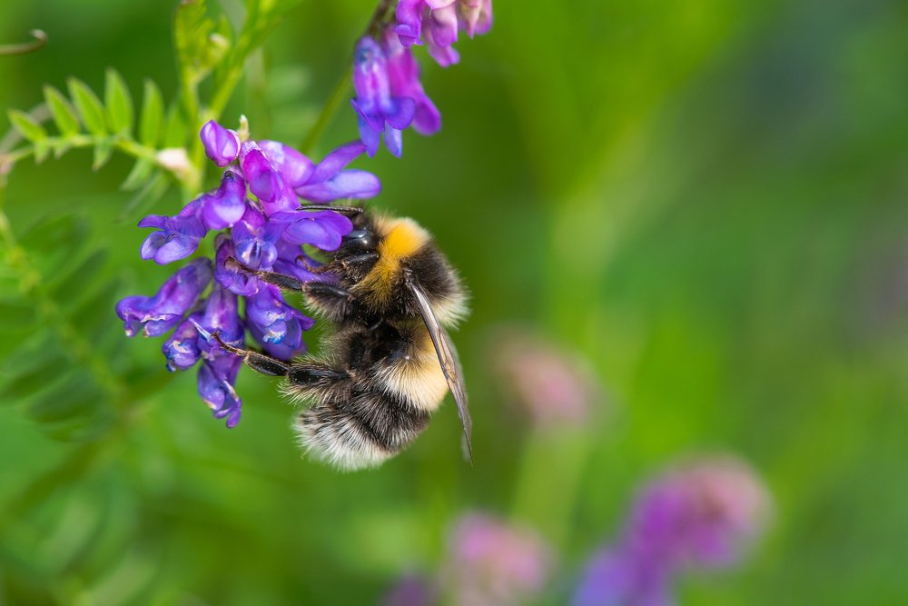 Photograph by Кадырова Марина