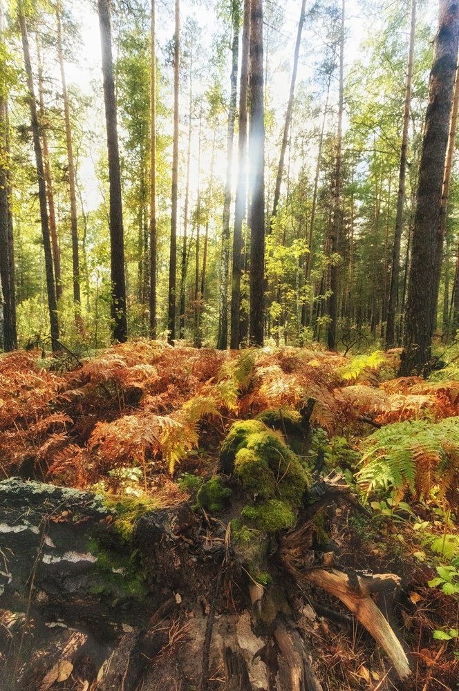 Photograph by Руслан Нигматуллин