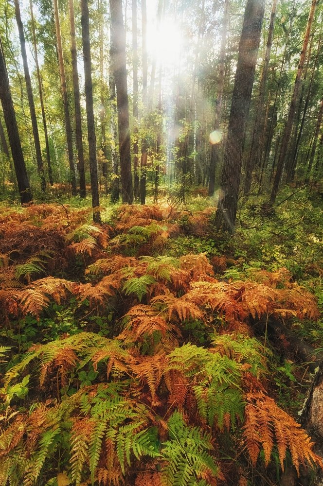 Photograph by Руслан Нигматуллин