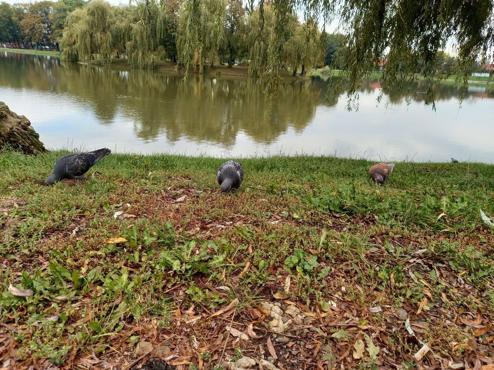 Photograph by Наталія Дронюк