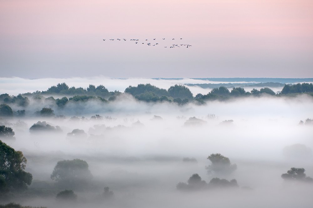 Фотография автора Юрий Сорокин