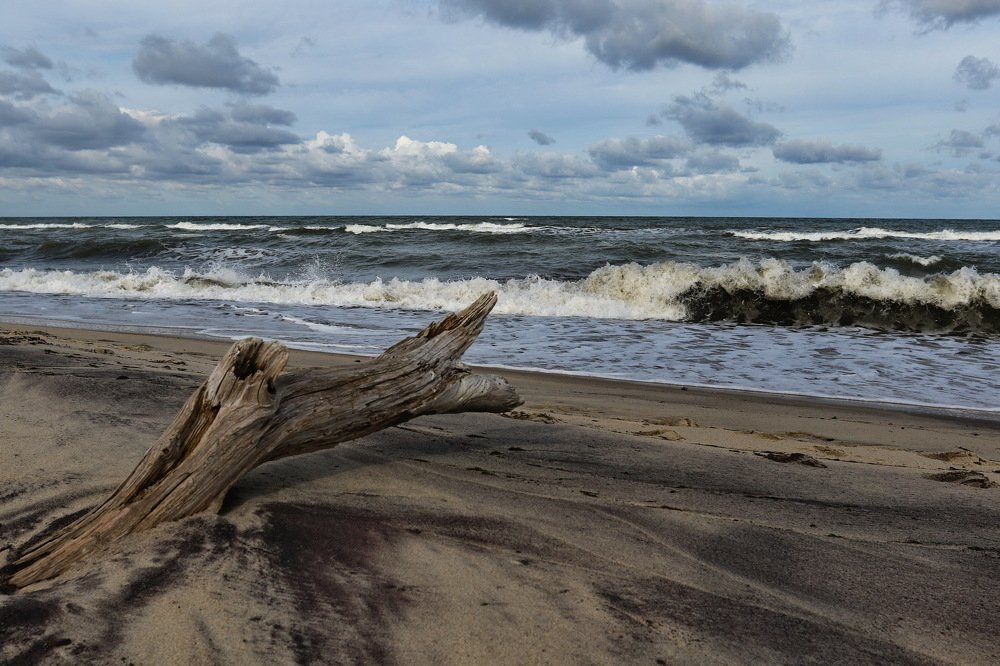 Фотография автора Елена Колосова