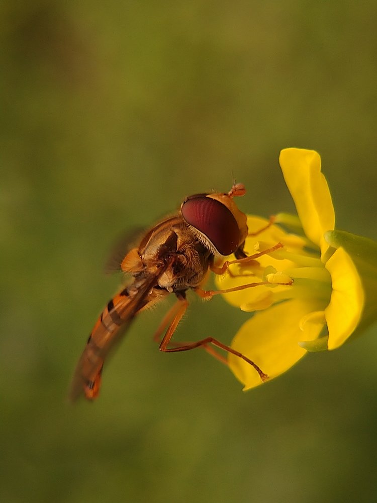 Photograph by Dhrubajyoti Bhattacharyya