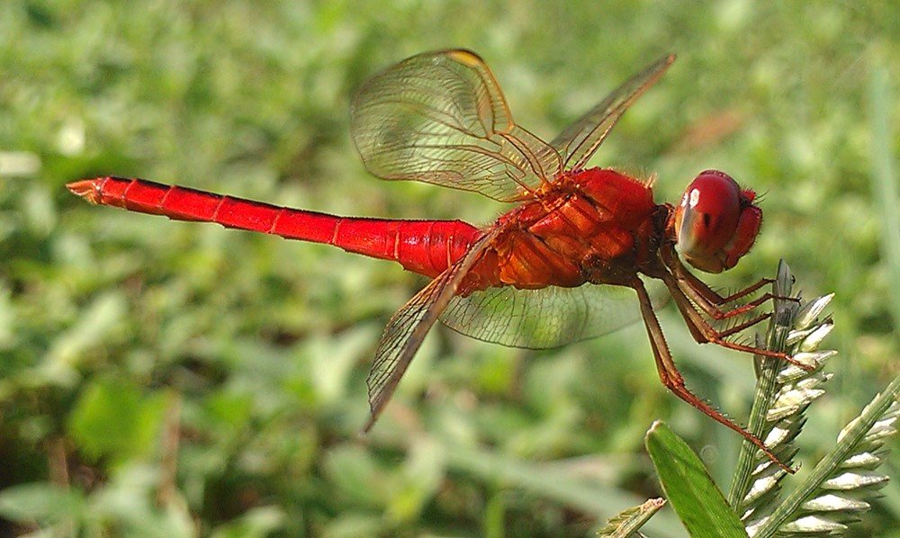 Photograph by Syi'ir Waton