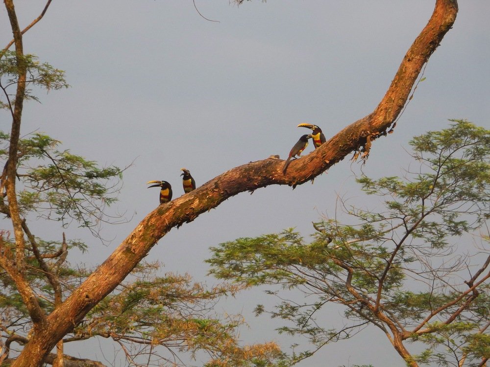 Photograph by YESID CASTRO