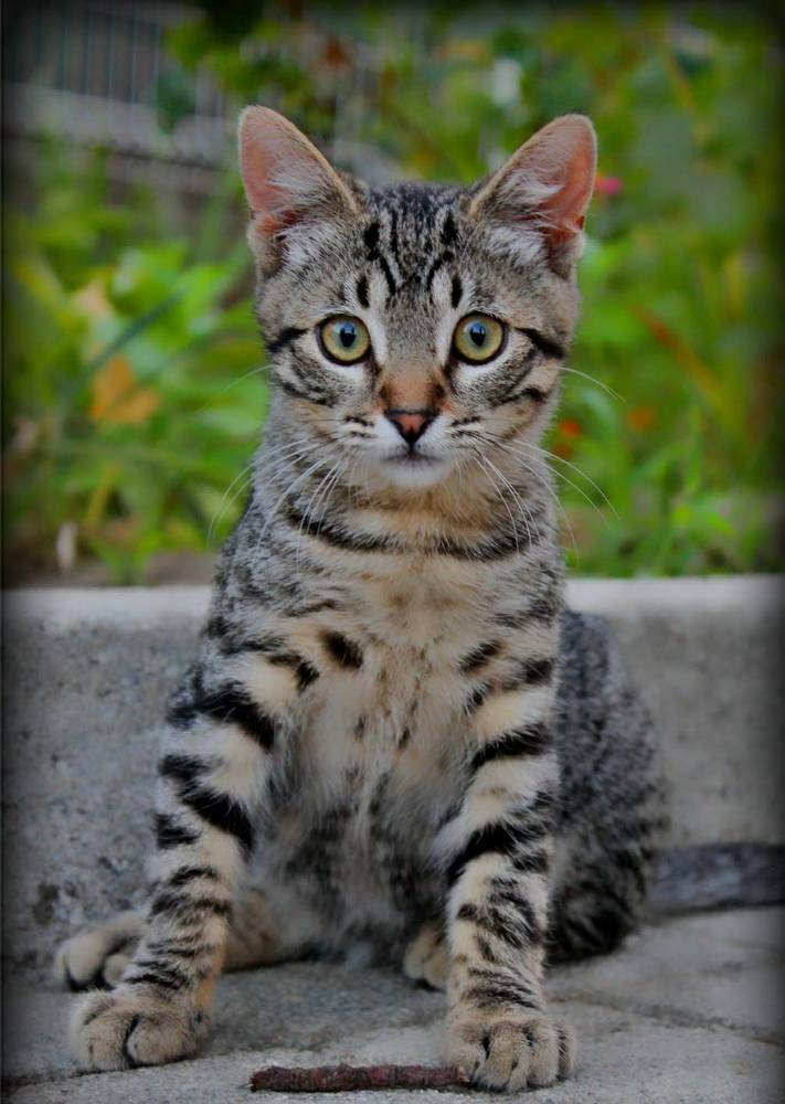 Photograph by Francisco Ferreira