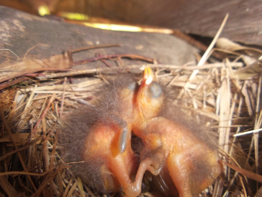 Photograph by YESID CASTRO